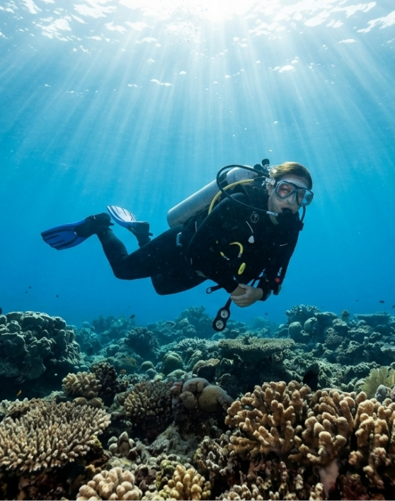 Diving