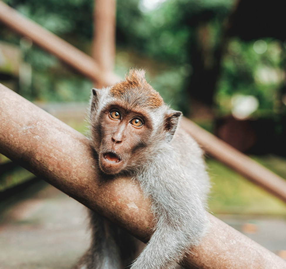 jared-rice-O6DUoIl6NWA-unsplash