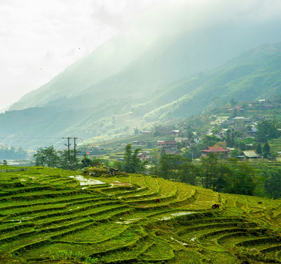 khanh-do-99SOZI-jCOY-unsplash