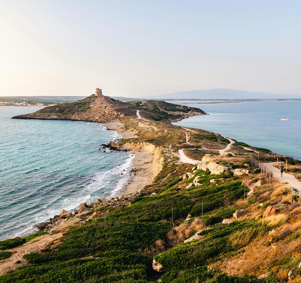 leonard-cotte-P45bsq-O_L8-unsplash