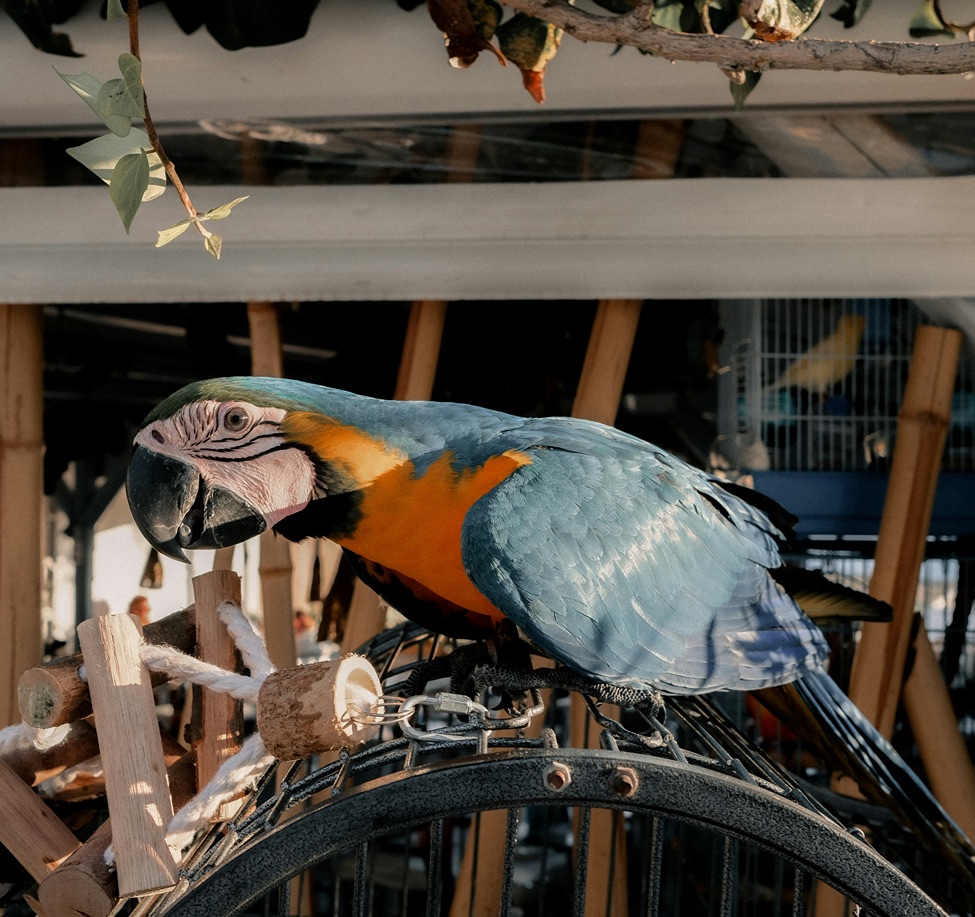 luke-moss-RgP15QL5OKI-unsplash