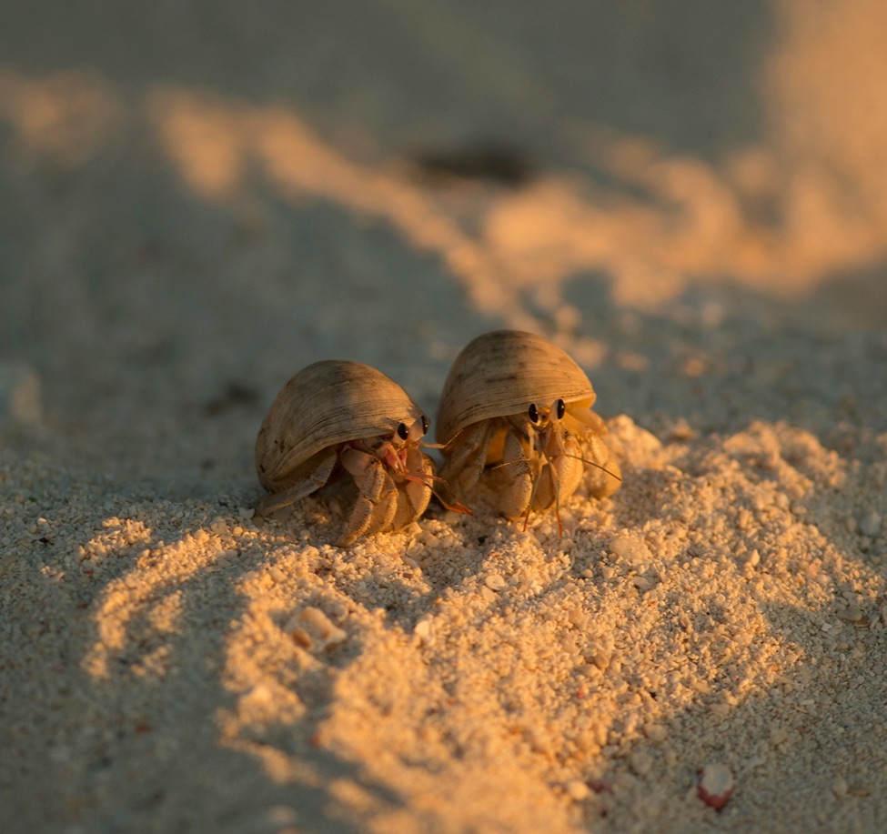thomas-lipke-NgdpjFe7xzA-unsplash