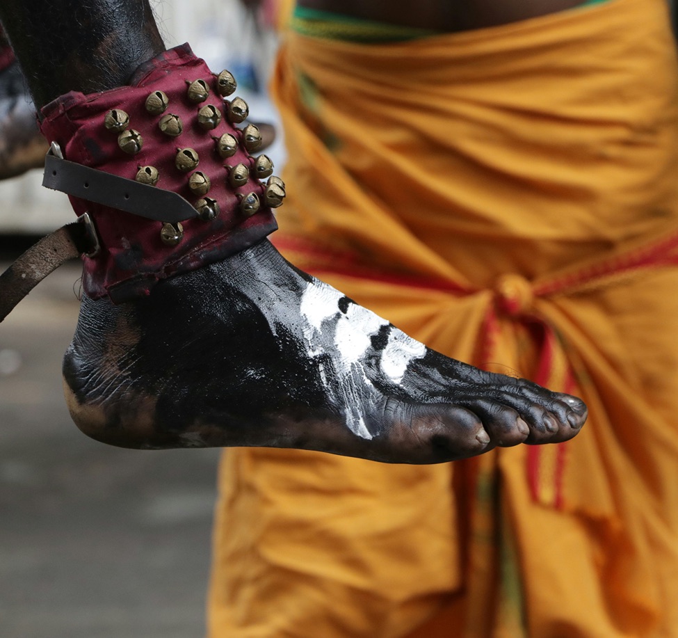 vishnu-vasu-rZcCEGRWPTM-unsplash