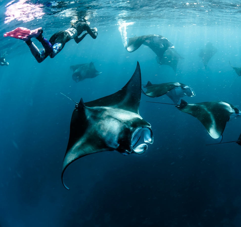 sebastian-pena-lambarri-F54xLcv9wQ0-unsplash